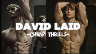 David Laid x Cheap thrills