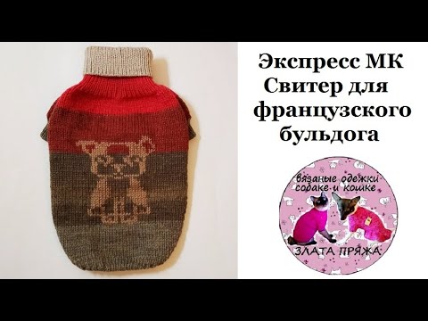 Французский бульдог вышивка