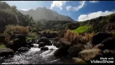 سورة المدثر بصوت الفقير إلى الله/ عبدالكريم اللقاني