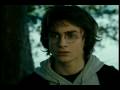 Face Down-Harry Hermione and Ron