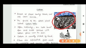 Science NCERT class 6 summary in detail || upsc||uppsc, upsssc, mppsc, bpsc, etc.