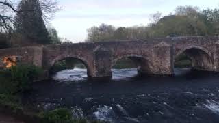 The Slow Video - The River Exe at Bickleigh