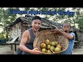 Elephant apple  ka     sameer rai vlogs