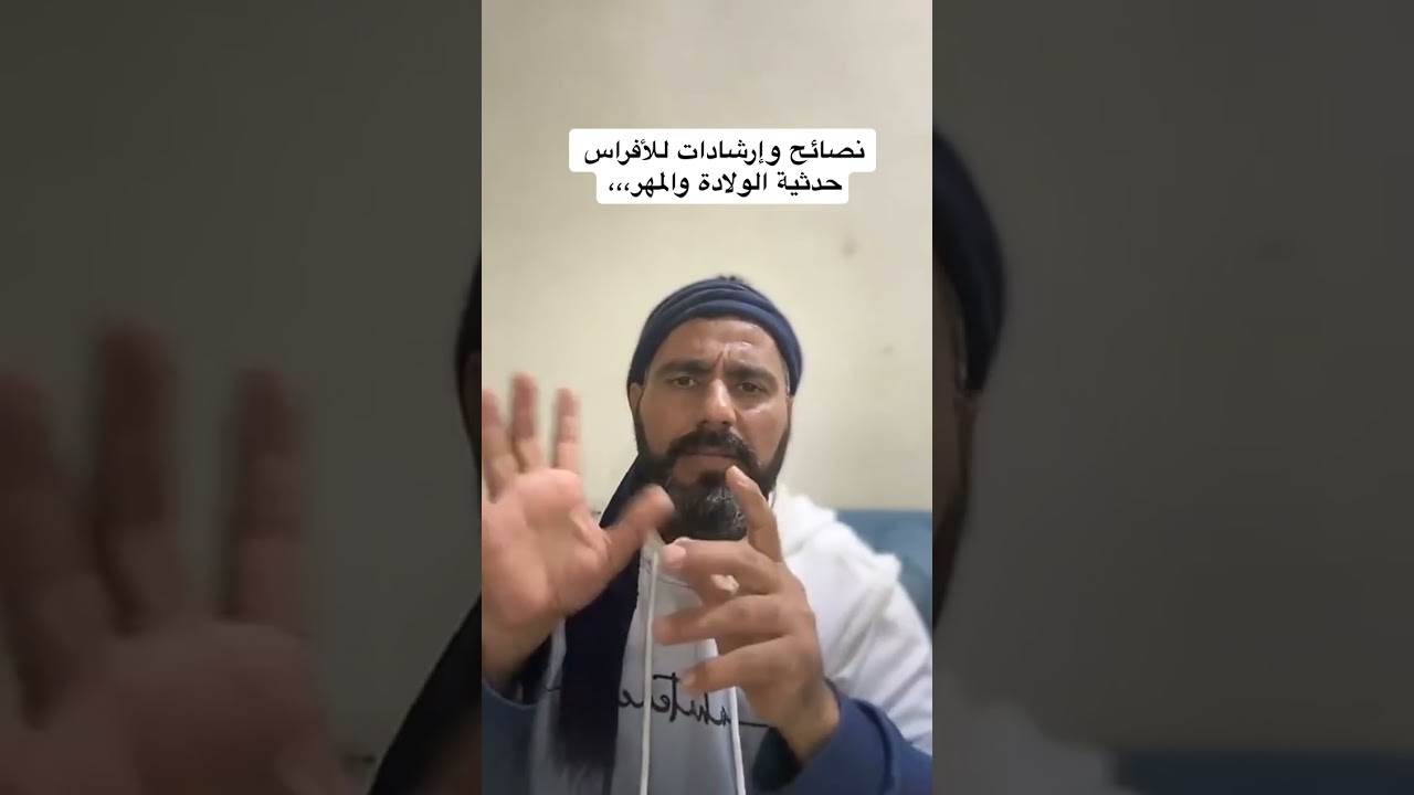 نصائح وارشادات بعد ولادة الفرس