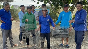 Bắt Được Cống Nhum Đầu Đàn Khu Vườn Mít Bí Ẩn.Góc Làng Quê#138