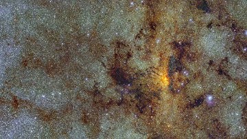Ancient RR Lyrae Variable Stars Found in Milky Way