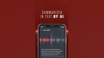 Voice Recorder & AI Summarize