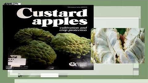 Custard Apple : Cultivation Processing Supply-chain