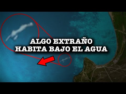 Algo extraño habita