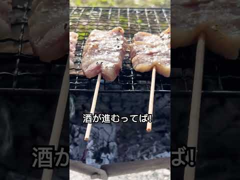 「炭火」キャンプで串焼きならこれ！　#shorts #炭火焼き #豚バラ串　#焼きとん　#キャンプ飯