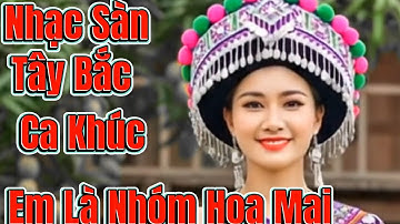 Kho Nhạc Sàn Mới Tây Bắc Ca Khúc Trúng Em Là Nhóm Hoa Mai  Nhạc Sống Thái Mông Nhạc DJ Tây Bắc 