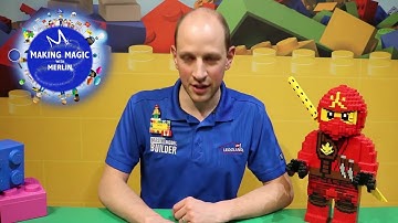 Build a LEGO Frog at Home! Quick and Easy Step By Step Tutorial from a LEGO Master Model Builder