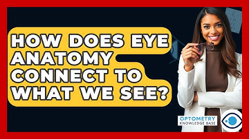 How Does Eye Anatomy Connect To What We See? - Optometry Knowledge Base