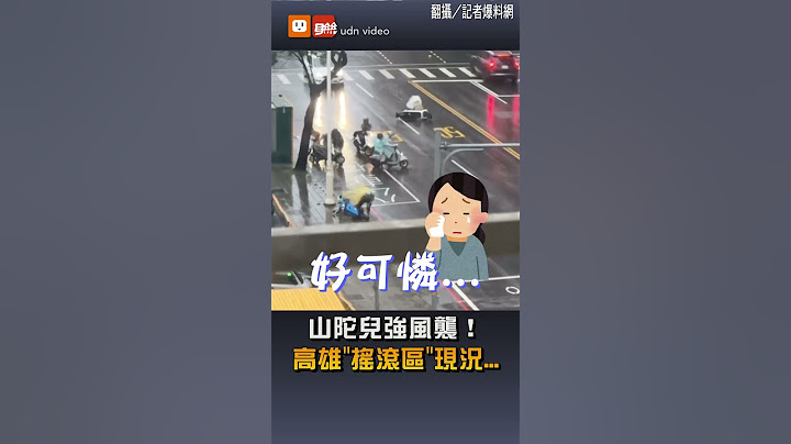 【颱風】山陀兒強風襲！高雄「搖滾區」現況...