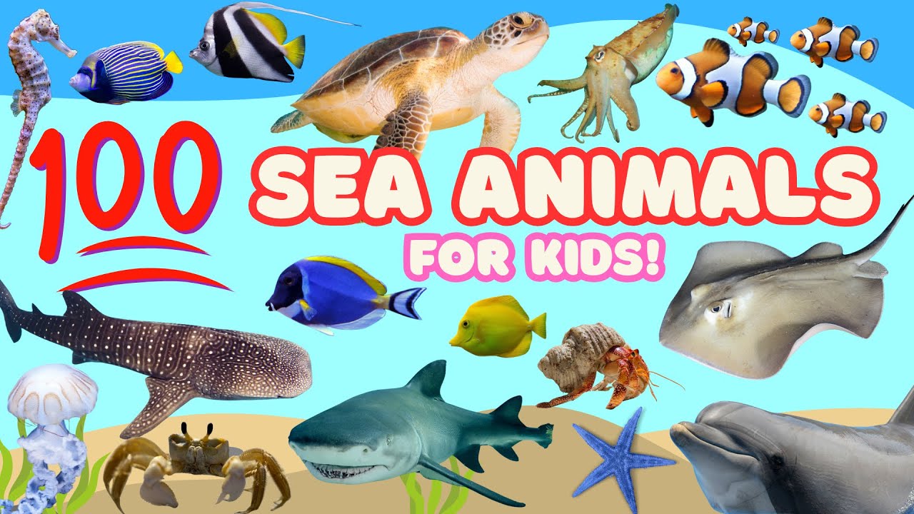 Learn 100 Ocean Animals 🐢 | Fun Sea Animal Names for Kids | English ...