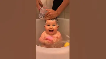 حمامك سعاده حمامك هنا على عيونك مابتخاف قد مابخاف اناا مين بيتذكرها للغنية Kids 