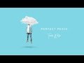 Tauren Wells - Perfect Peace (Visualizer)