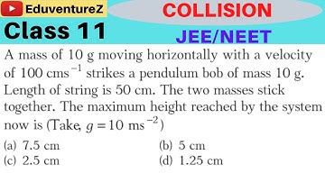 A mass of 10 g moving horizontally with a velocity of 100 cm/s strikes a pendulum bob of mass 10 g.