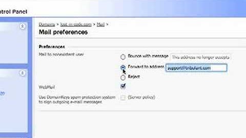 Plesk : Catch All Account