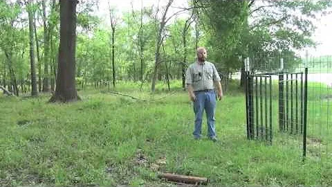 How to Build a Corral Trap for Feral Hogs