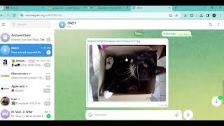 Creation of telegram chatbot with integration of database