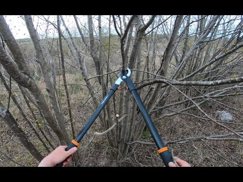 Fiskars L11 ogrodowy sekator dwuręczny nożycowy .
