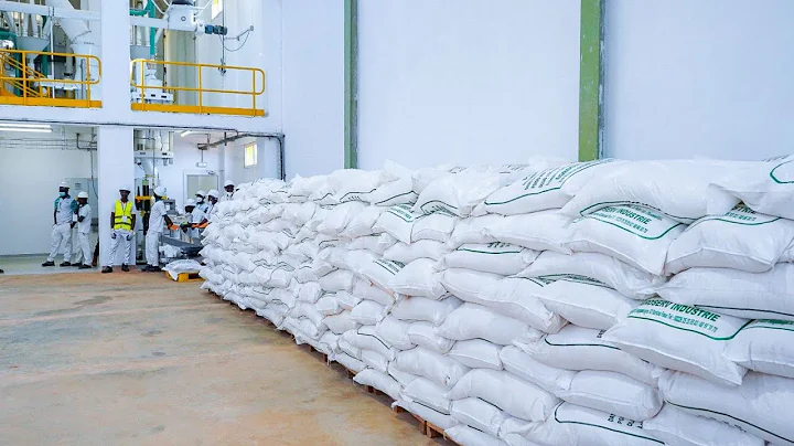 Burkina Faso launches a corn and soybean processing plant