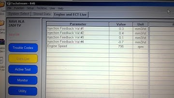 D4D injector trim data at idle