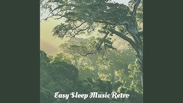 Luxurious Backdrops for Recharging Sleep