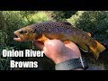 NYMPHING UP STUNNING WILD TROUT (Onion River Northeast Wisconsin)