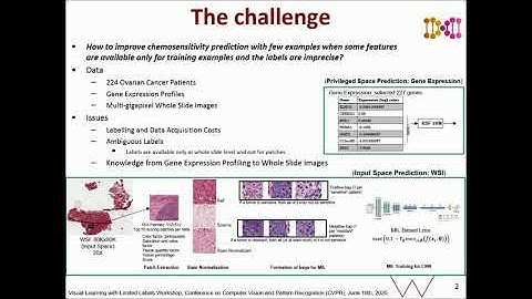 Cross-Domain Knowledge Transfer for Prediction of Chemosensitivity in Ovarian Cancer Patients