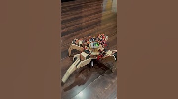 Quadruped with pi pico