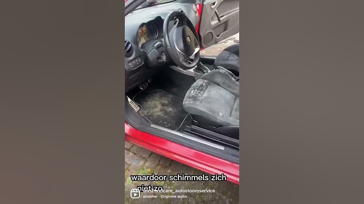 Hoe krijg je schimmel in de auto?