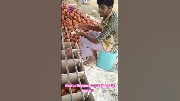Fruit Sorting Genius: This Simple Hack Sorts Fruit FAST! #FarmHack #DIYTools #MindBlown 🍎