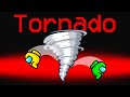 WE ADDED A TORNADO Role To Among Us!