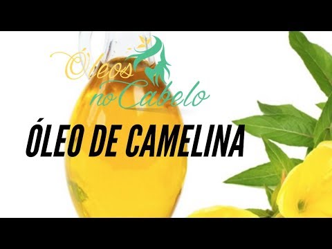 Vídeo: O óleo de camelina contém vitamina e?