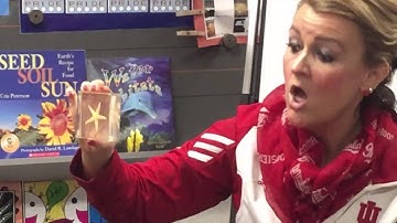 Rick Crosslin Science - Bird Feeder Designs - Grade 1 Science