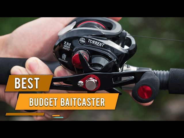 Best Budget Baitcaster in 2023 - Top 6 Review