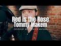 Red is the Rose (Cover) by Seth Staton Watkins