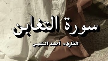 سورة التغابن | أحمد النفيس