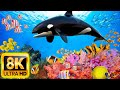 The ocean 8k ultra  beautiful coral reef fish  relax music  meditation music  8k