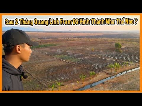 Quanglinhvlogs || Sau 2 Tháng Từ Mảnh Đất Trống Không Có Gì … và Hiện Tại Đã Thay Đổi Như Thế Nào ?