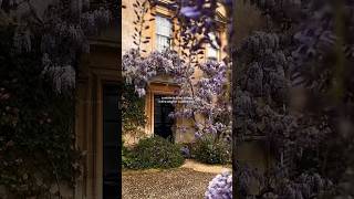 Wisteria filled manor in the English Countryside🪻🌿 #countryside #manor #cottagecore #english #flower