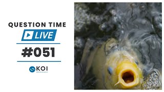 Koi Question Time LIVE #51