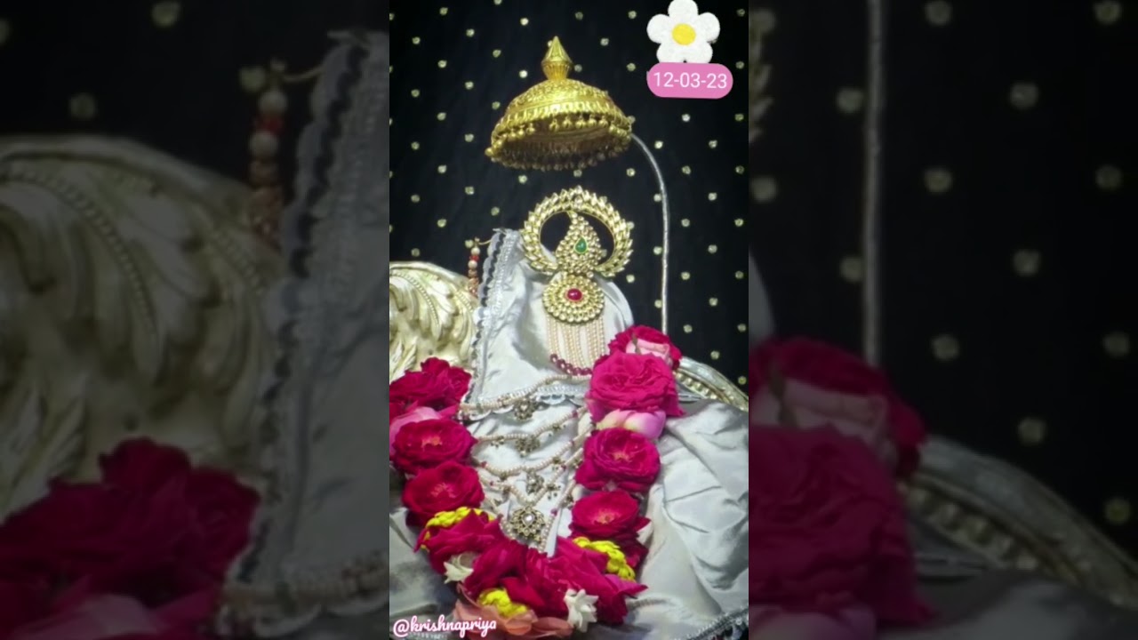 Radharaman mere 🥰 || 🌹🌹Divine Darshan of Shri Radharaman Lal ju🌹🌹