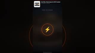 Rückstände und Kontaminanten in Crab Blue Swimming Cut U/10 Casabor! #rückruf #lebensmittelwarnung