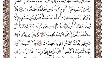 سورة يوسف الصفحة 241 من القران للشيخ ياسر الدوسري