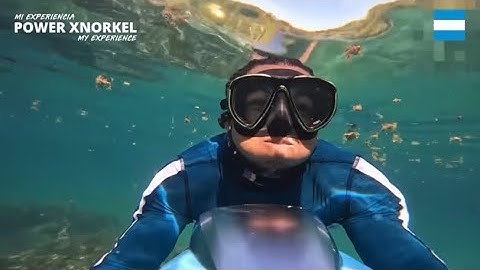 DDG - CEO (Official Snippet) 🔥🔥🔥