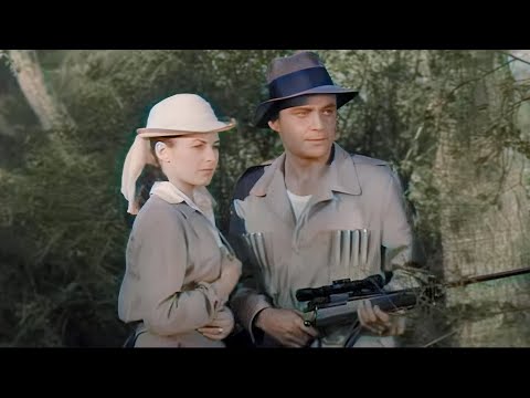 Jungle Love | The Bride and the Beast 1958 (Adventure, Fantasy) Colorized | Full Movie