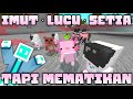 Bocil Bocil Lucu, Tapi OP ( BELYPETS Addon )